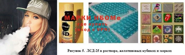 гашик Балахна