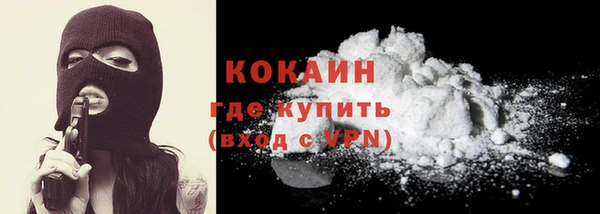 шишки Балабаново