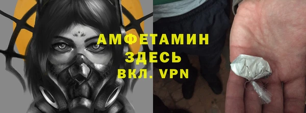 шишки Балабаново
