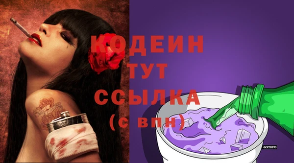 гашик Балахна