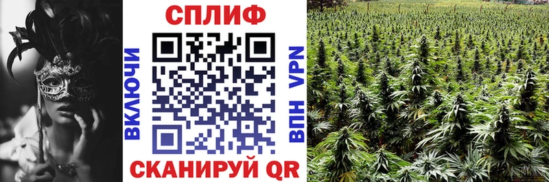 MEGA ссылки  закладки  Таштагол  МАРИХУАНА планчик 
